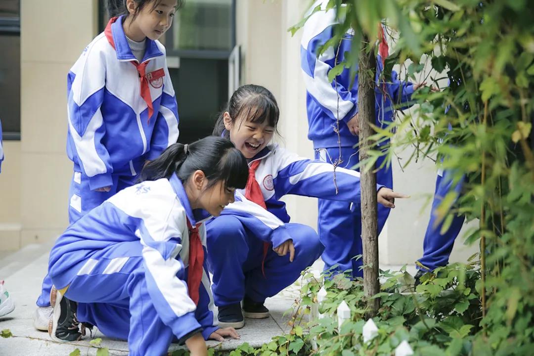 天友設(shè)計